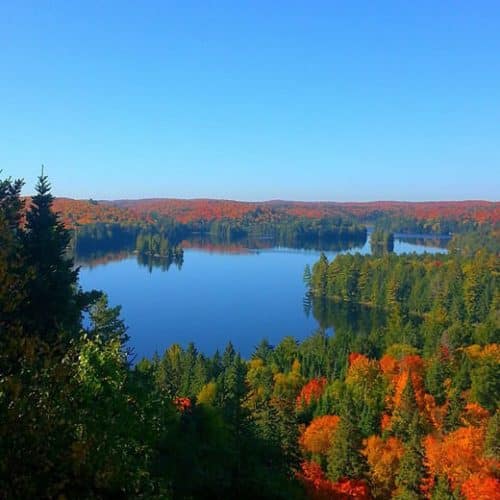 Best Places to Take a Fall Photo in Muskoka - Discover Muskoka: Plan ...