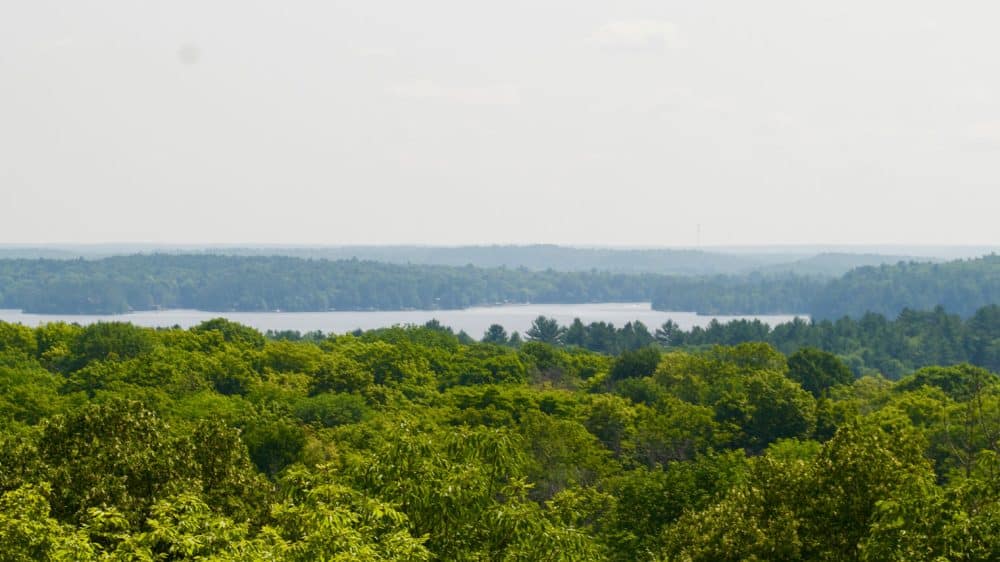 Muskoka Lakes has a new Lookout Trail - Discover Muskoka: Plan Your Trip