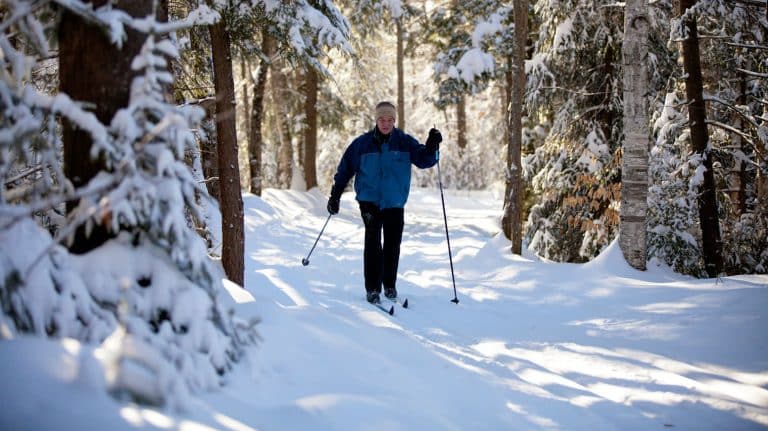 Explore the Winter Wonder of Algonquin Park - Discover Muskoka: Plan ...